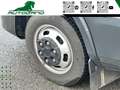 Iveco Daily 35C16H BTor 2.3 HPT Sponda -idraulica Bianco - thumbnail 14