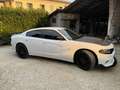 Dodge Charger SXT Bianco - thumbnail 2