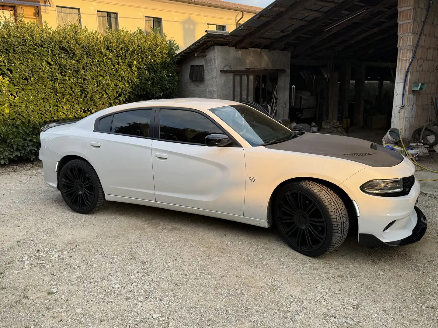 Dodge Charger SXT Bianco - 2