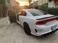 Dodge Charger SXT Bianco - thumbnail 4