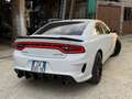 Dodge Charger SXT Bianco - thumbnail 3