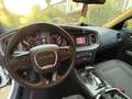 Dodge Charger SXT Bianco - thumbnail 13