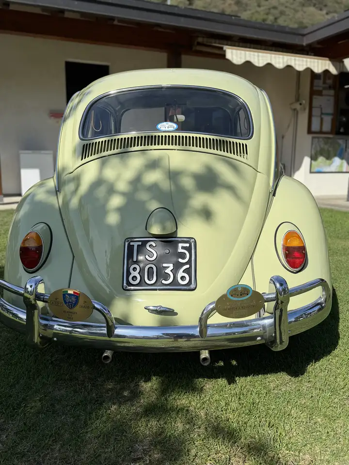 Volkswagen Maggiolino, foto 5