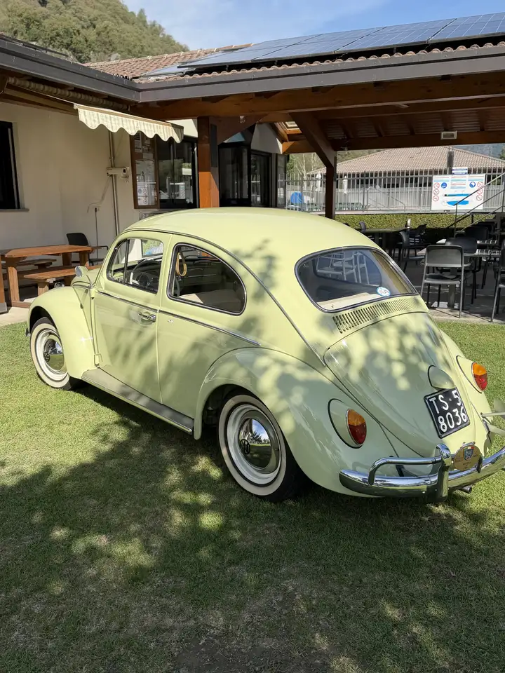 Volkswagen Maggiolino, foto 3