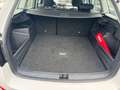 Skoda Fabia Combi Style LED+Bluetooth+KeylessGo Weiß - thumbnail 8