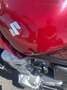 Suzuki Rood - thumbnail 5