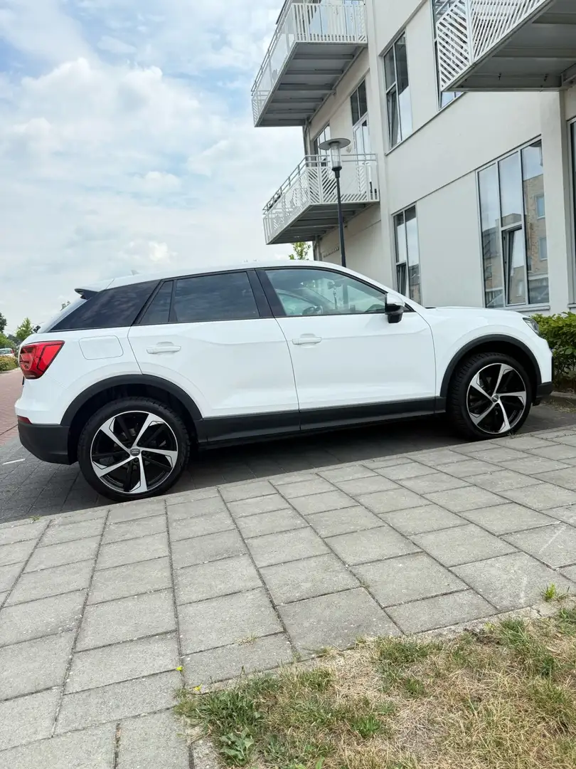 Audi Q2 1.6 TDI S tronic sport - 1
