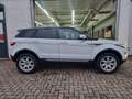 Land Rover Range Rover Evoque 2-Hand/Leder/4x Neue Allwette Bianco - thumbnail 8