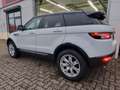 Land Rover Range Rover Evoque 2-Hand/Leder/4x Neue Allwette Bianco - thumbnail 6