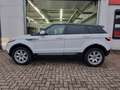 Land Rover Range Rover Evoque 2-Hand/Leder/4x Neue Allwette Bianco - thumbnail 5