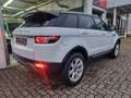 Land Rover Range Rover Evoque 2-Hand/Leder/4x Neue Allwette Bianco - thumbnail 9