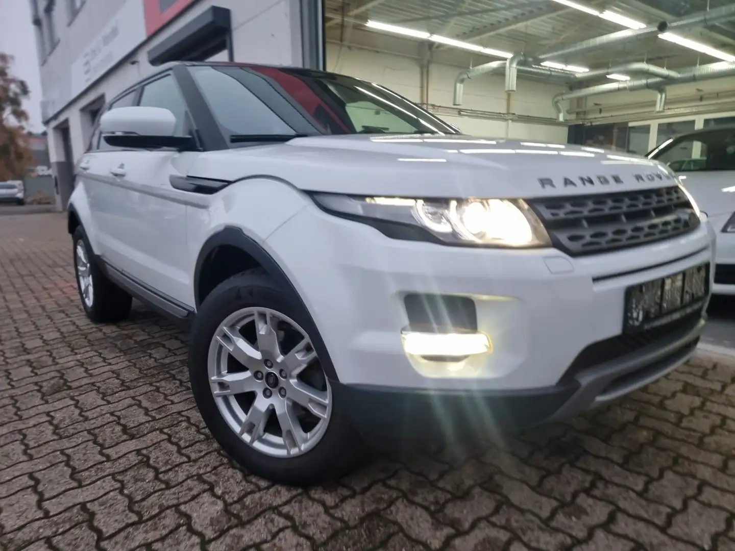 Land Rover Range Rover Evoque 2-Hand/Leder/4x Neue Allwette Bianco - 1