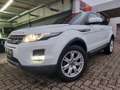 Land Rover Range Rover Evoque 2-Hand/Leder/4x Neue Allwette Bianco - thumbnail 2
