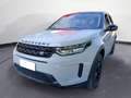 Land Rover Discovery Sport 2.0d i4 mhev R-Dynamic S awd 150cv auto Bianco - thumbnail 2