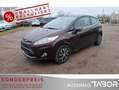 Ford Fiesta 1.25 Titanium Klimaautomatik BT RadioCD Rot - thumbnail 1