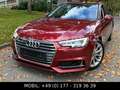 Audi A4 Avant 40TDI quattro sport*S-TRONIC*MATRIX*B&O Rot - thumbnail 4