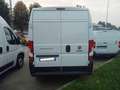 Fiat Ducato 35 2.2 Mjt 140CV MH2 PM-TM Furgone Blanc - thumbnail 3