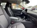 Mazda CX-30 e-SKYACTIV X Exclusive, DASO, DESI, Garantie 12.29 Rot - thumbnail 7