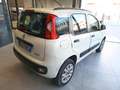 Fiat Panda 0.9 TwinAir Turbo Natural Power Easy Bianco - thumbnail 6