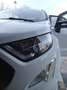 Ford EcoSport 1.5 tdci st line S 95cv Bianco - thumbnail 4