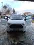 Ford EcoSport 1.5 tdci st line S 95cv Bianco - thumbnail 3