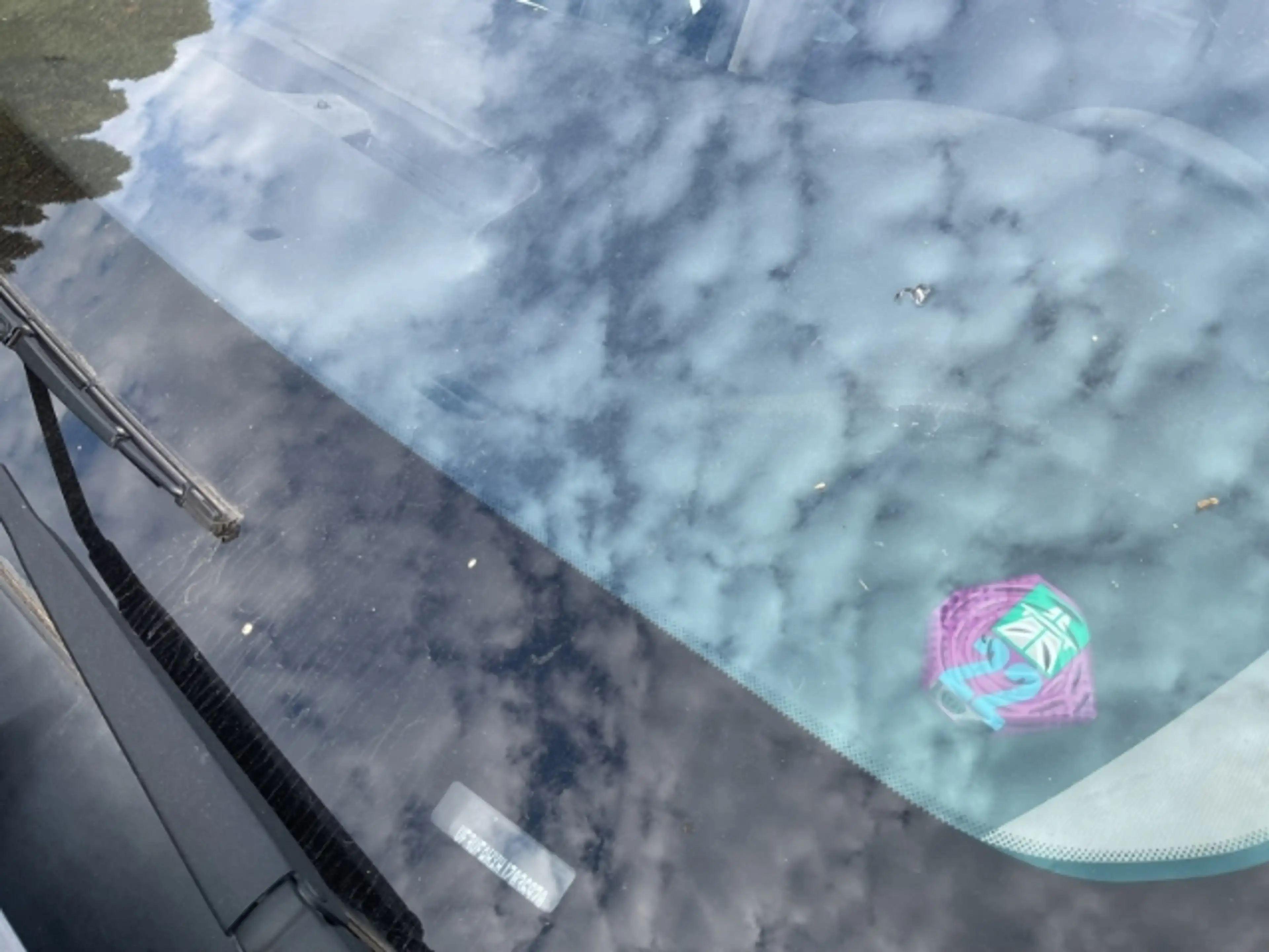 Peugeot Traveller Active L2 Dangel 4x4 AHK Navi DAB SHZ Totwinkelass — photo 15