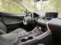 Lexus NX 300 300h Premium 2WD Wit - thumbnail 20