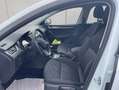 Skoda Octavia 1.8 TSI Clever NAVI GRA PDC SMARTLINK+ Wit - thumbnail 10