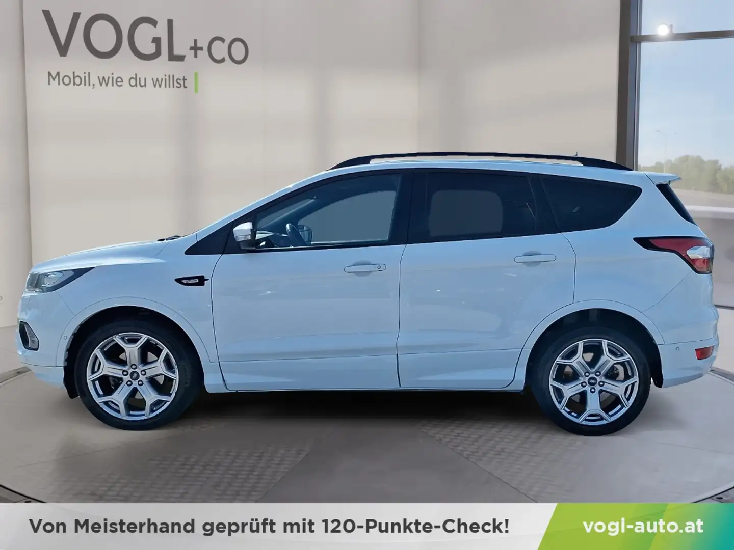 Ford Kuga ST-Line 1,5 TDCi Blanc - 2