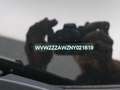 Volkswagen Polo Polo 1.0TSI Life 95PK *APP CONNECT*PDC*CRUISE*ZETE Noir - thumbnail 8