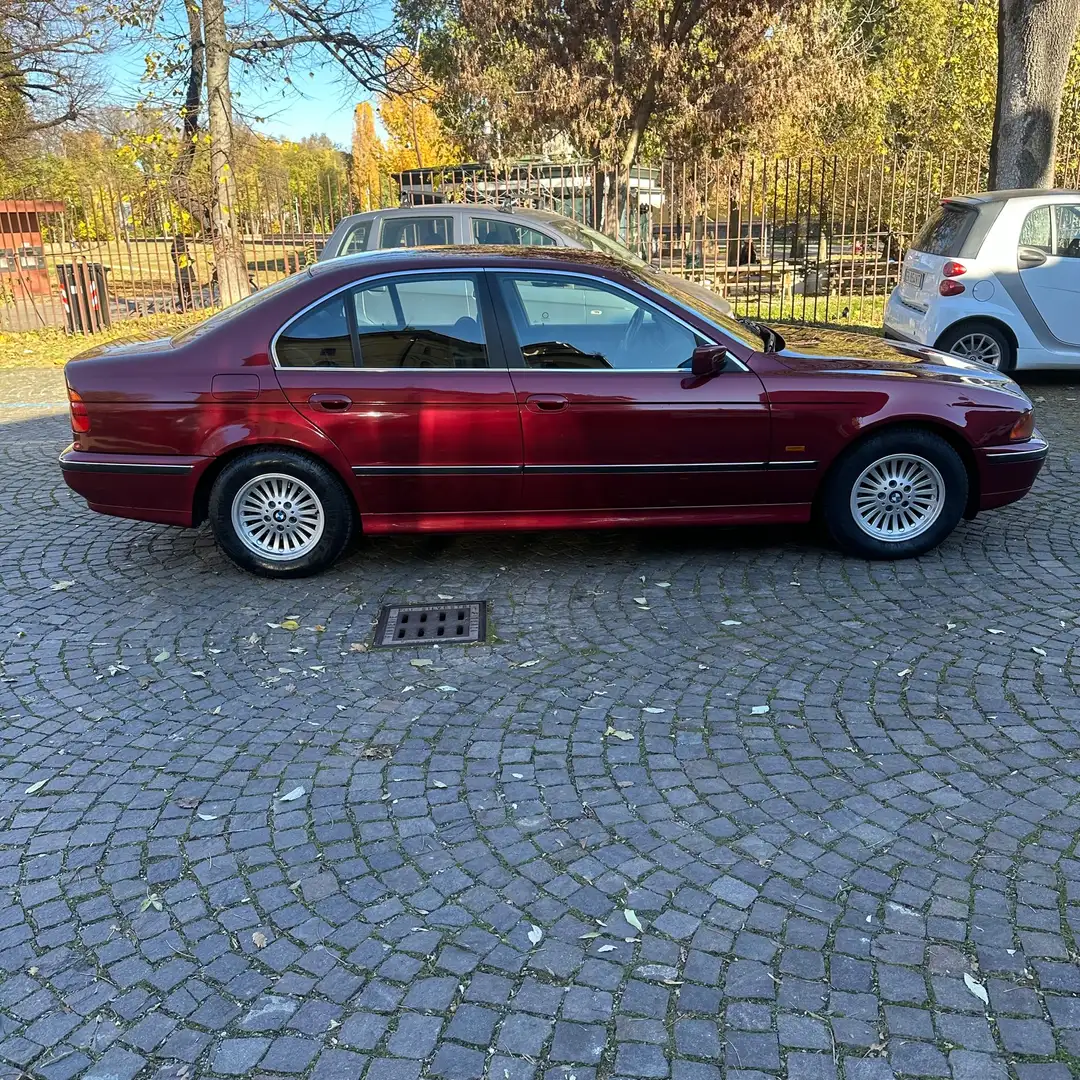 BMW 520 520i Czerwony - 1