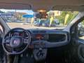 Fiat Panda 1.2 Easy PROMO FINANZIAMENTO Grigio - thumbnail 7