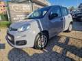 Fiat Panda 1.2 Easy PROMO FINANZIAMENTO Grigio - thumbnail 3
