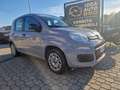 Fiat Panda 1.2 Easy PROMO FINANZIAMENTO Grigio - thumbnail 1