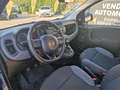 Fiat Panda 1.2 Easy PROMO FINANZIAMENTO Grigio - thumbnail 8