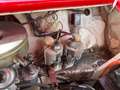 Austin Mini Morris Mini Leyland 850L de luxe H-Kennzeichen noch immer erschwingliche Ikone Rot - thumbnail 41