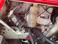 Austin Mini Morris Mini Leyland 850L de luxe H-Kennzeichen noch immer erschwingliche Ikone Rot - thumbnail 40
