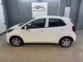 Kia Picanto 1,0 MPI *Sitz+Lenkradheizung*1-Besitz* Weiß - thumbnail 7