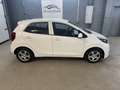 Kia Picanto 1,0 MPI *Sitz+Lenkradheizung*1-Besitz* Weiß - thumbnail 6