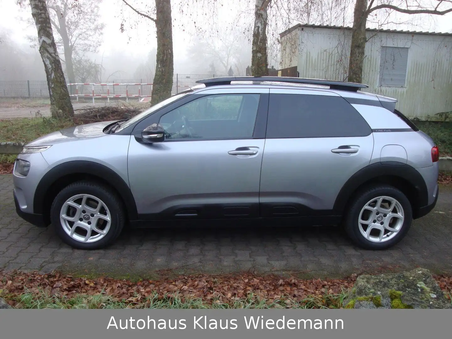 Citroen C4 Cactus PureTech 130 S&S Aut. - 3.Hd./78 TKM Grau - 2