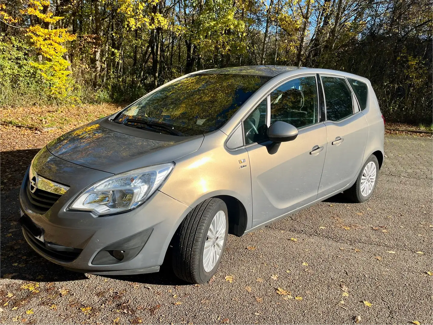 Opel Meriva Meriva 1.4 Active Beige - 1