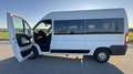 Fiat Ducato 150 L2H2 RS: 3450 mm Weiß - thumbnail 4