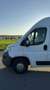 Fiat Ducato 150 L2H2 RS: 3450 mm Weiß - thumbnail 15