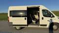 Fiat Ducato 150 L2H2 RS: 3450 mm Weiß - thumbnail 7