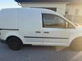 Volkswagen Caddy Caddy Maxi 1,9 TDI DPF DSG Weiß - thumbnail 2