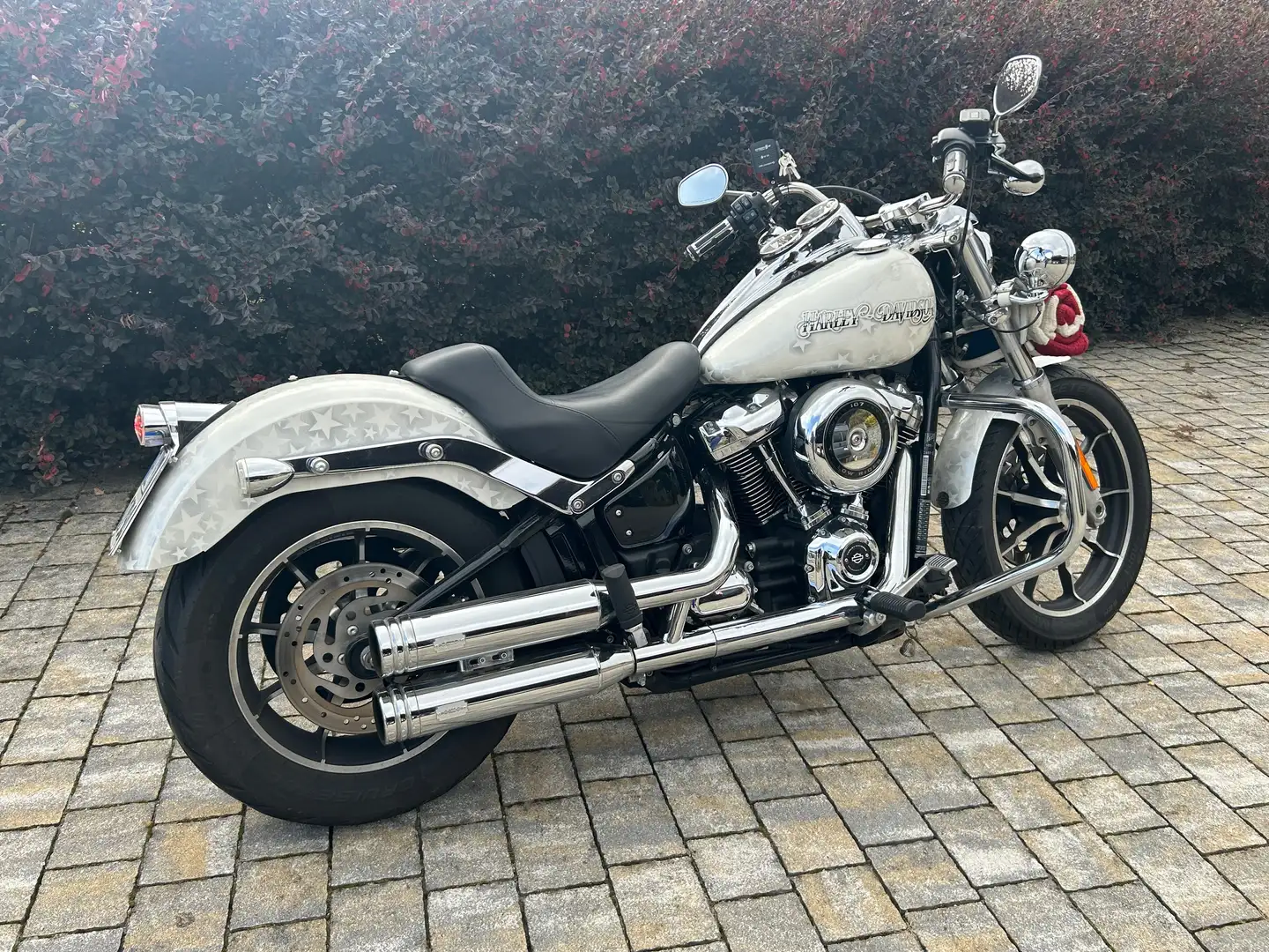 Harley-Davidson Softail Low Rider Alb - 1