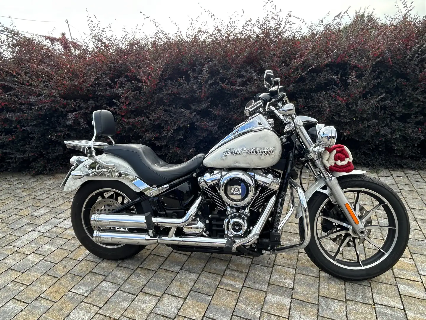 Harley-Davidson Softail Low Rider Alb - 2