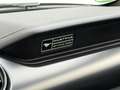 Ford Mustang 5.0VVT-i GT Convertible 55 YEARS DT. FZG Grau - thumbnail 21