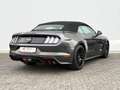 Ford Mustang 5.0VVT-i GT Convertible 55 YEARS DT. FZG Grau - thumbnail 4