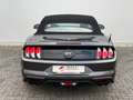 Ford Mustang 5.0VVT-i GT Convertible 55 YEARS DT. FZG Grau - thumbnail 5